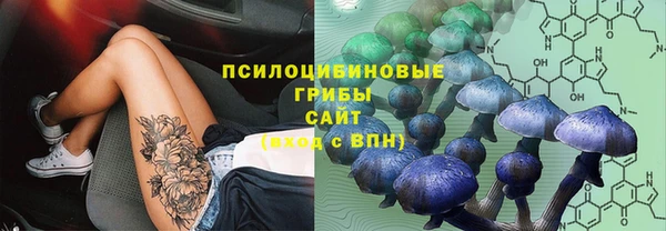 таблы Алексеевка